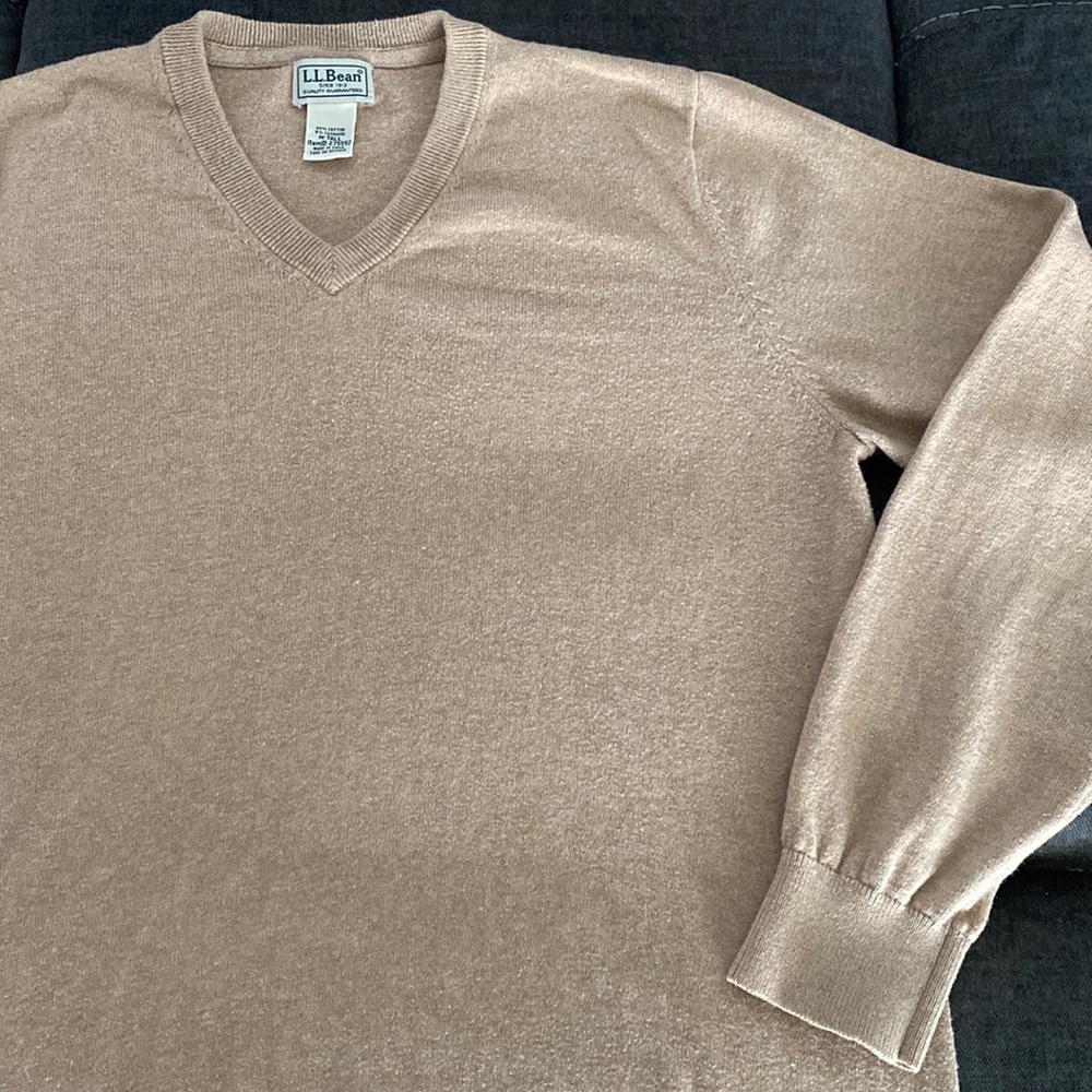LL Bean V-neck sweater